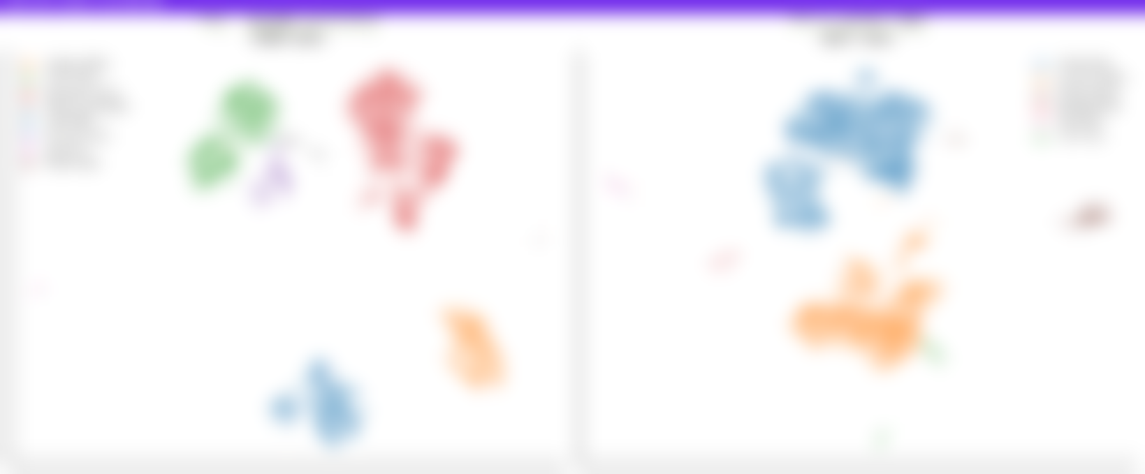 A blurred snapshot of the agent's output window, shown only to indicate that output was produced